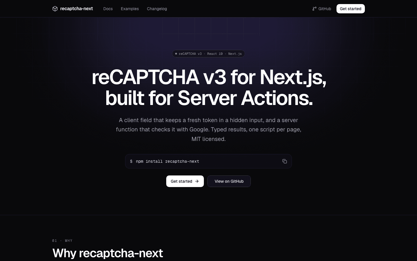 The documentation site of recaptcha-next, with the package name and the line about Server Actions on a dark page.